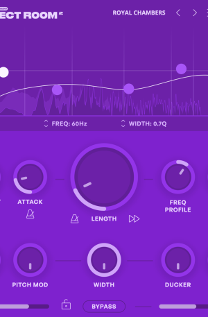 Denise Audio Perfect Room 2