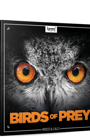 Boom Birds of Prey
