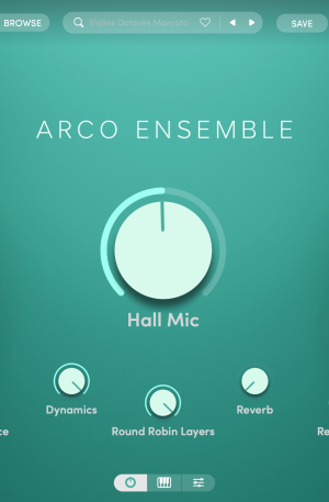 Capsule Arco Ensemble