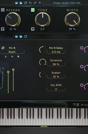 Boz Ningbo Felt 2021 Pro
