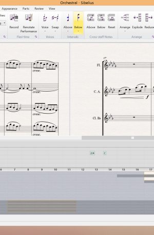 Sibelius Ultimate 1-Year Software Updates+Support