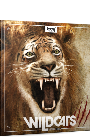 Boom Wildcats