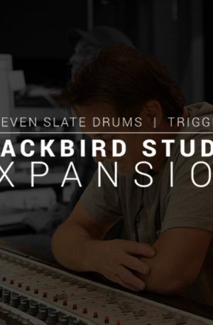 SSD Blackbird expansion