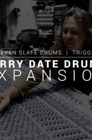 TRIGGER 2 Terry Date expansion