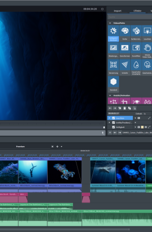 MAGIX Video deluxe Ultimate UPG
