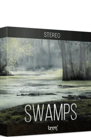 Boom Swamp STEREO